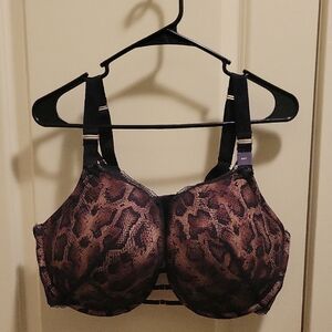 Lane Bryant Black and Brown Snake Print Bra